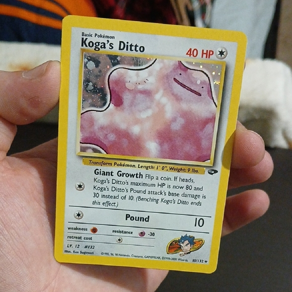 Koga\'s Ditto